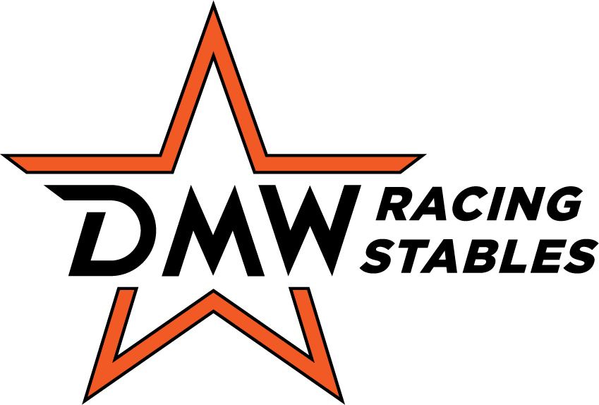 dmw_logo_colorb